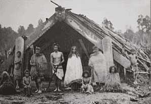 Maori dwelling in the 19th century